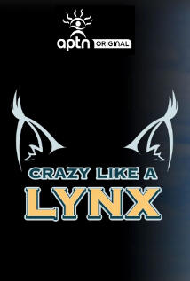 Crazy Like A Lynx Crazy Like A Lynx